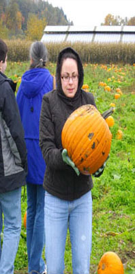 Selecting Pumpkin